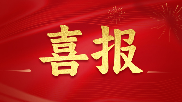聯(lián)誠科技集團(tuán)榮獲“誠信企業(yè)獎”、“優(yōu)質(zhì)工程獎”兩項榮譽(yù)